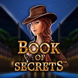 Official Slots logo: Book of Secrets by SYNOT Games at Winnita casino