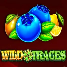 Wild Traces – slot by Amusnet Interactive, featured at winnitacasinoo.eu